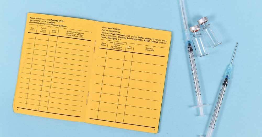 Febre amarela: como tirar o Certificado Internacional de Vacinação